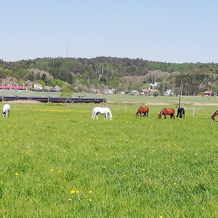 Stuga Pa Hammarbergs Gard Kungsbacka Zewnętrze zdjęcie